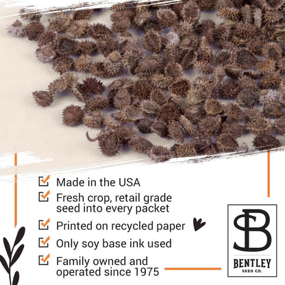 Grateful Memories Dove with Bird and Butterfly Mix Seed Favor Packets - Gardening Gifts - Wild Flower Seeds for Planting - Garden or Indoor Plant Flowers - Growing Plants in Memory
