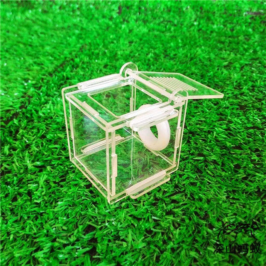 Nest Ants Farm House Glass Tubes Nest Nest Acrylic Farm Gifts For Kids