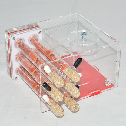 ANT Housing Nest ANT Farm Clear DIY Supplies Compact Workshop Habitat for Childrens Day Living Room Tabletop Bedroom Kitchen, 1.5cm