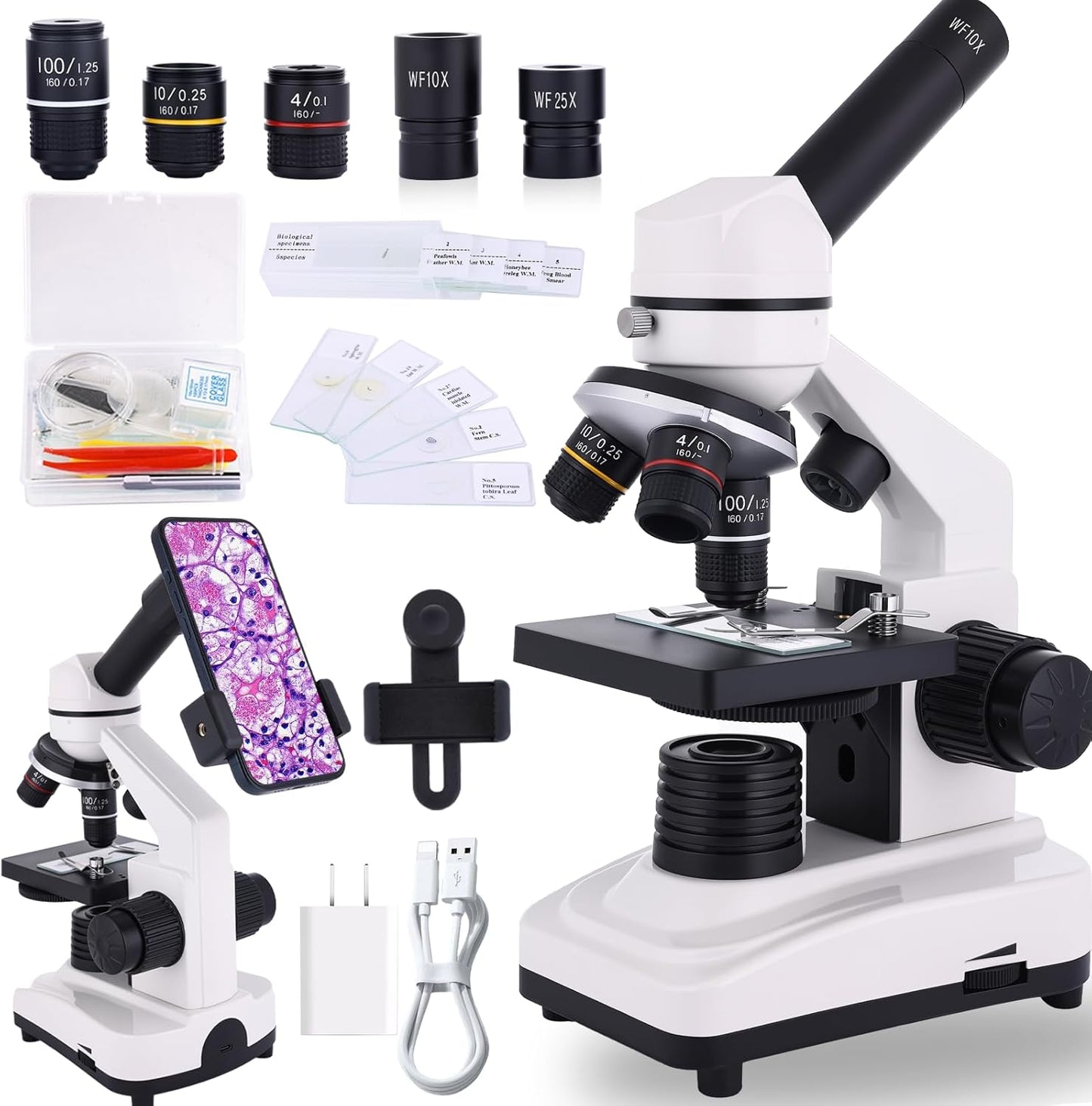 Microscope for Adults & Kids, 40X-2500X High-Power Compound Microscope for Students, School Lab & Home Schooling,Equiped with Slides Set & Phone Holder (Light White)