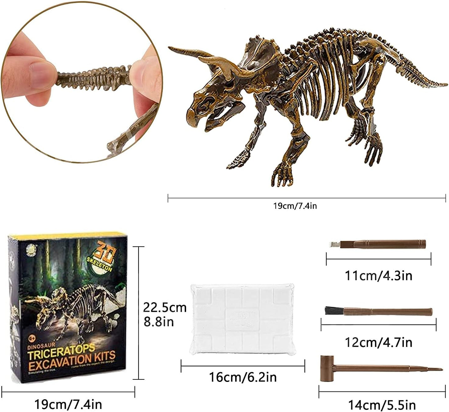 Dig & Discover Dino Tyrannosaurus Rex Dinosaur Skeleton 3D Fossil Bones Excavation, Science Educational Toy Kit for Kids, Children