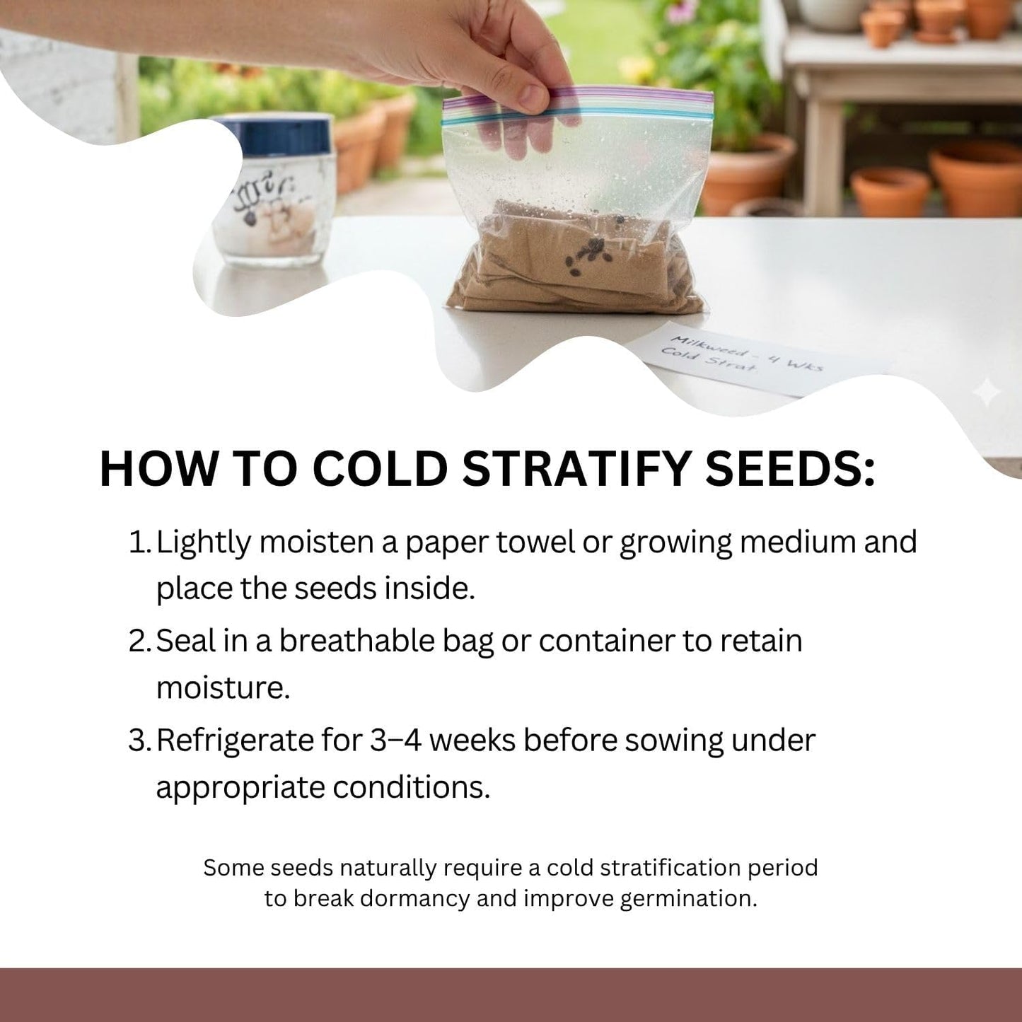 Native Milkweed Variety Pack - 5 Essential Species for Monarch Butterfly Gardens - Common, Swamp, Butterfly Weed, Showy & Narrowleaf - Non-GMO Native Wildflower Seeds for Pollinators