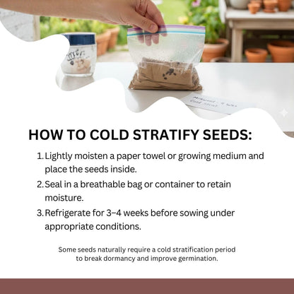Native Milkweed Variety Pack - 5 Essential Species for Monarch Butterfly Gardens - Common, Swamp, Butterfly Weed, Showy & Narrowleaf - Non-GMO Native Wildflower Seeds for Pollinators