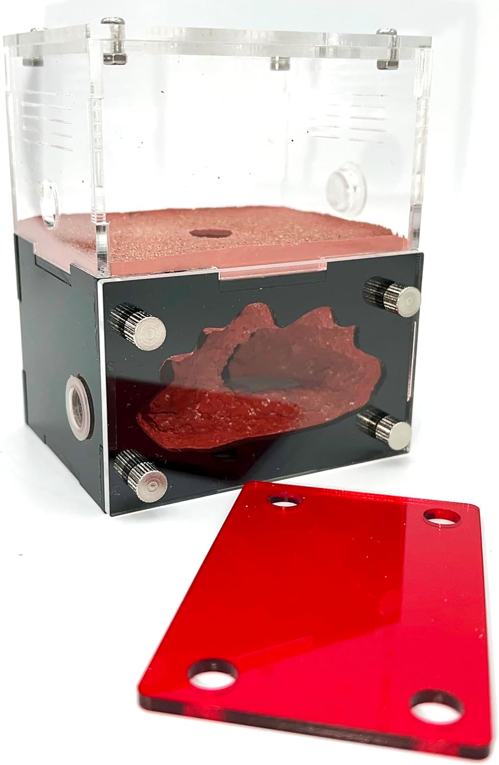 Ant Farm&Nest,House, Nest for ant Farm, Behavior Study House, Small Ant House.