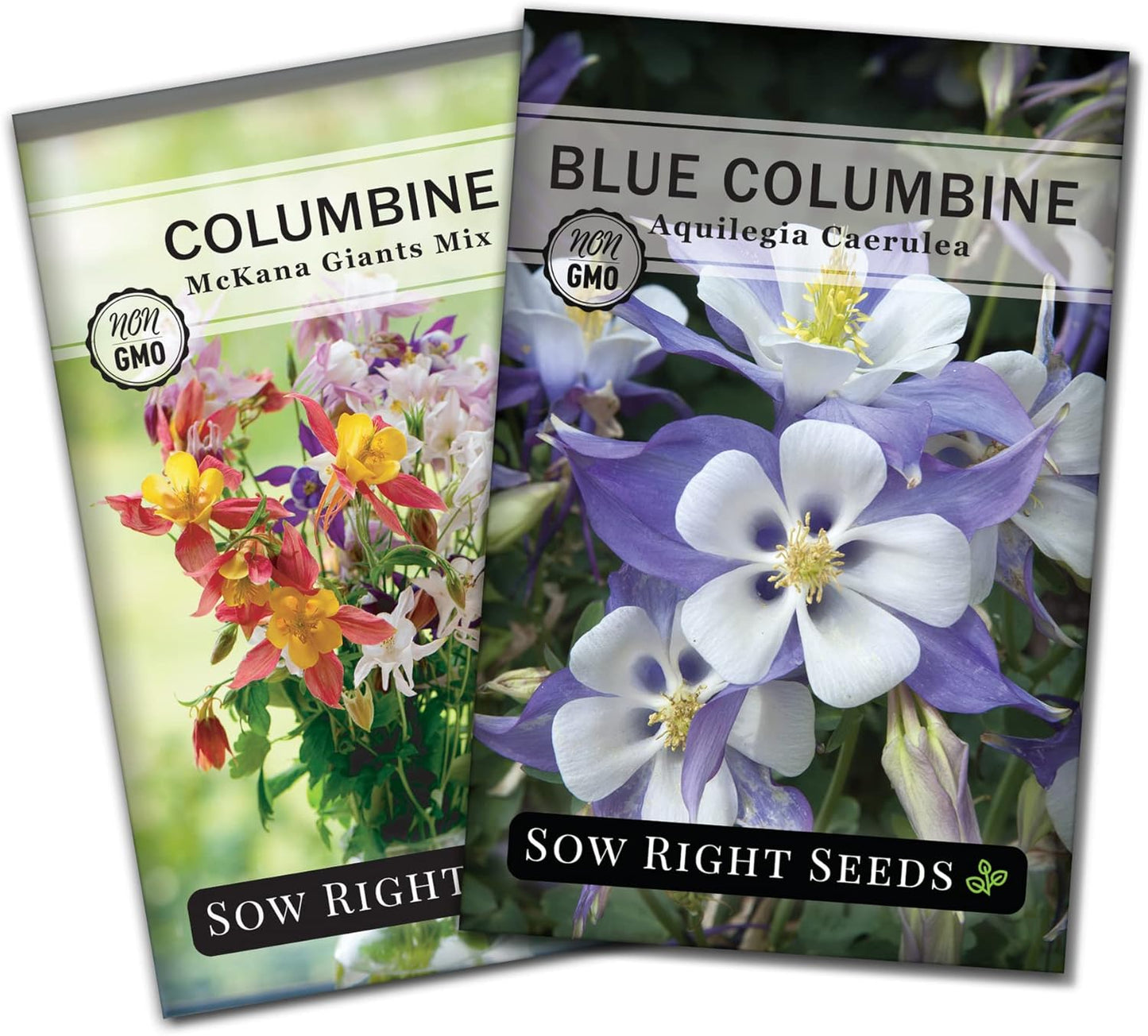 Sow Right Seeds - Columbine Flower Seed Collection for Planting - Blue and McKana Giants Flowers to Plant in Your Garden - Non-GMO Heirloom Seeds - Seed Kit Attracts Pollinators - Great Gift