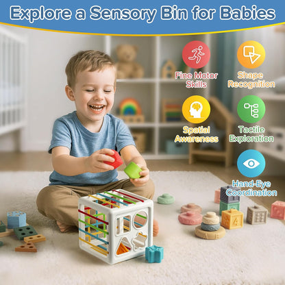 6-in-1 Baby Toys 6 to 12 Months, Montessori Toys for Babies 6-12-18 Months, Infant Teething Toy Stacking Blocks Rings Sensory Bin, Sorting Sensory Educational Learning Gift for Toddlers Aged 1-3