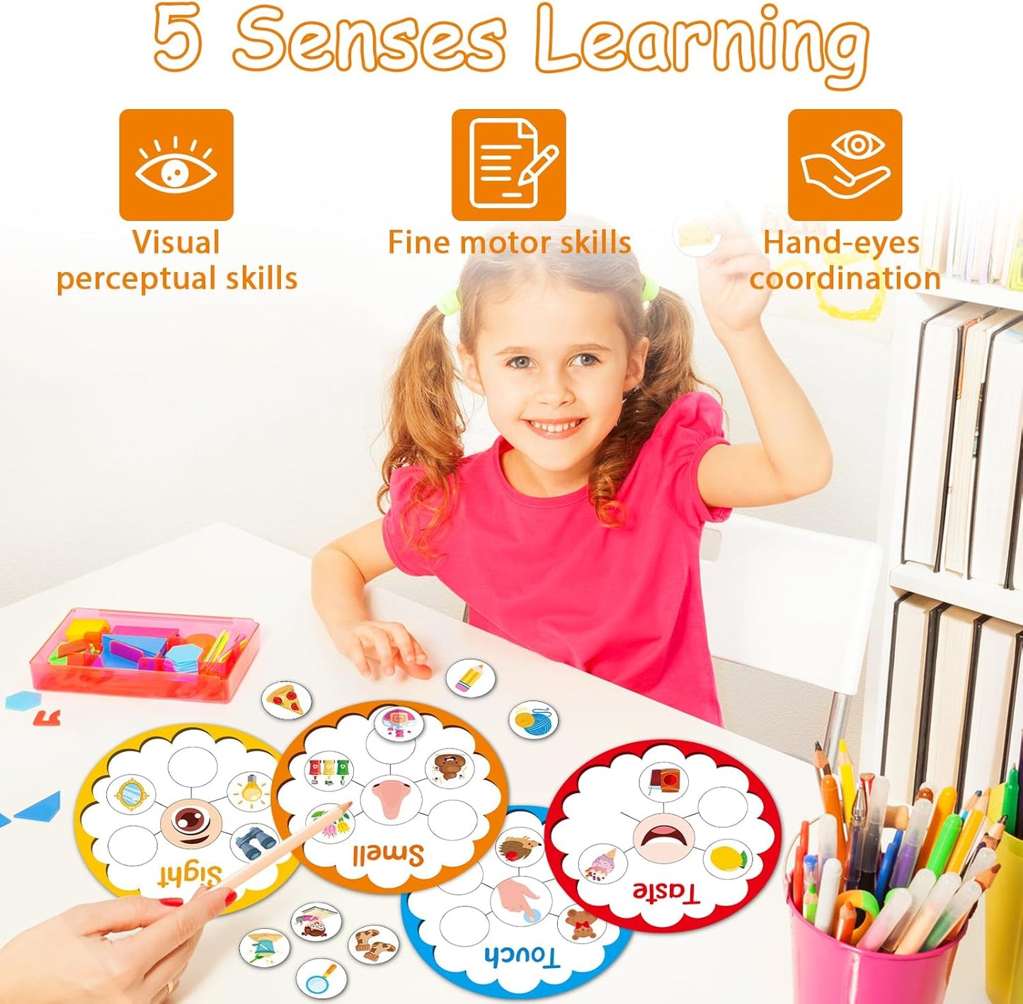 5 Senses Learning Activity for Kids Educational Teacher Supplies Five Senses Sorting Cards Learning Game Develop Fine Motor Skills for Toddlers Preschoolers and Kindergarteners Homeschool Must Haves
