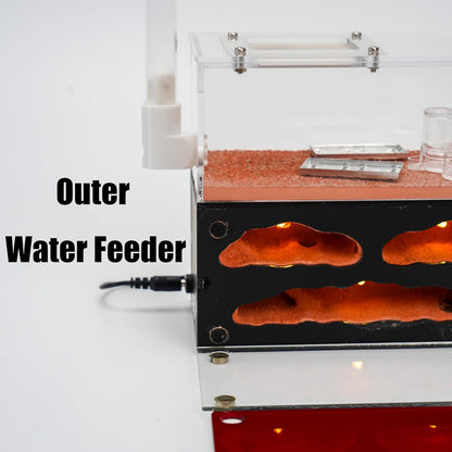 Ant Farm for Live Ants - for Small Ant Clony - Natural Learning Toy - Great Gift