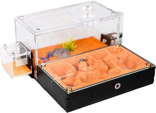 Ant Nest Formicarium for Live Ants and Queen – Extra-Large Clear Habitat for Adults