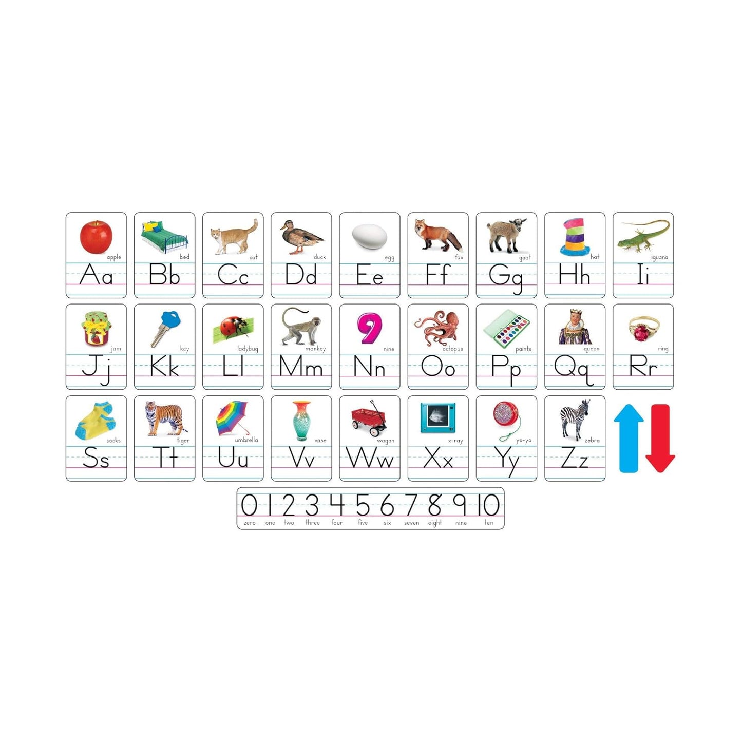 Trend Photo Alphabet Cards Zaner-Bloser Manuscript Bulletin Board Set, ABC Number Line, Classroom Decor