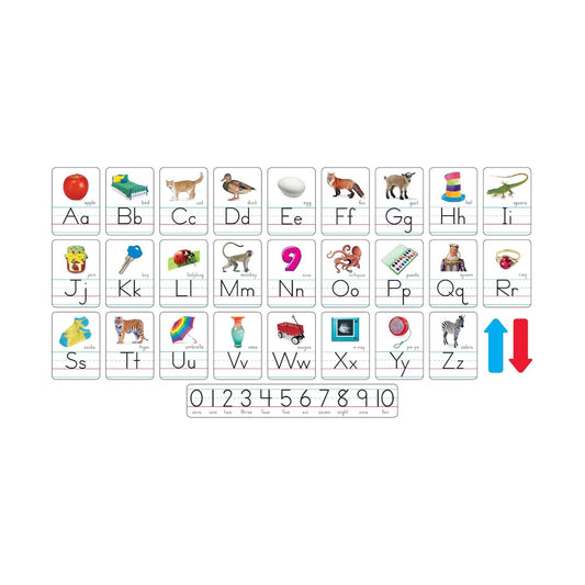 Trend Photo Alphabet Cards Zaner-Bloser Manuscript Bulletin Board Set, ABC Number Line, Classroom Decor