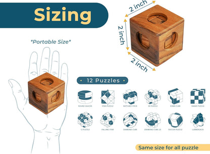 BSIRI 16 in 1 Wooden Brain Teaser Puzzles for Adults and Teens or Kids Interlocking 3D Mini Wood Mind Games Hand Puzzle Teasers Set Toys Coffee Table Games Gift