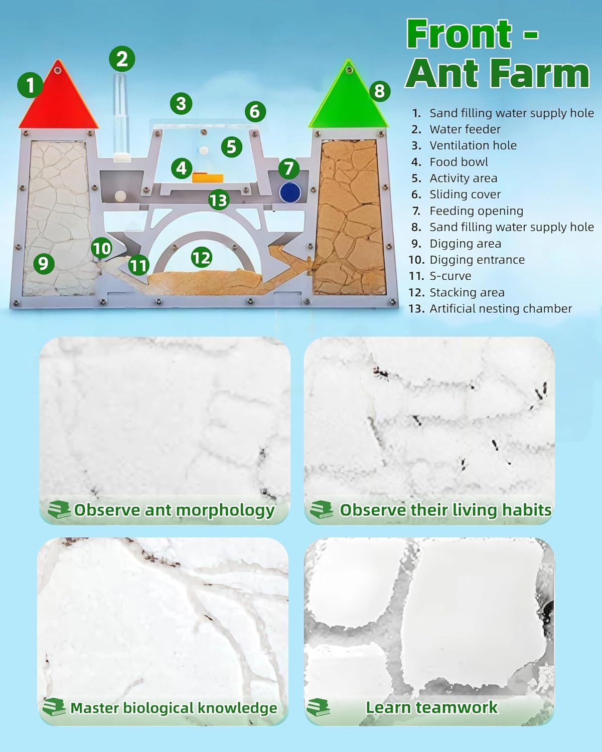 Ant Farming Castle - Ant Habitat Science Learning Kit with Yellow Sand and Tool, Large Viewing Area Ant Colony Observation Kit Educational Science Gifts for Boys, Girls