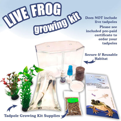 Tadpole to Frog Starter Kit - Includes Certificate for 2 Live Tadpoles - All-in-One Bundle with Habitat, Food, Instructions - Ideal for Education and Home Observation