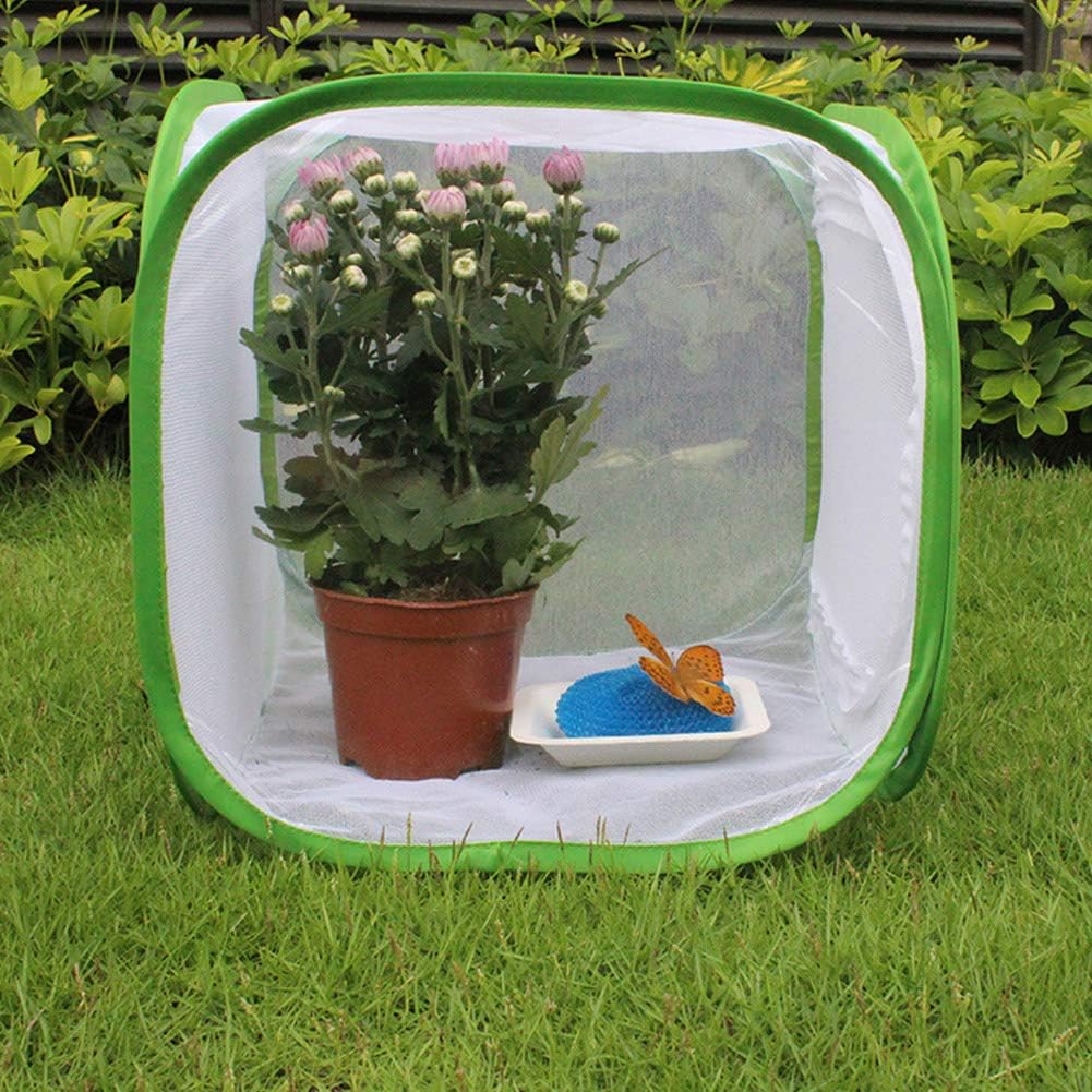 Foldable Butterfly Cage, Large Portable Ventilated Butterfly House Breeding Cage Butterfly Growing Kit 40 * 40 * 60cm for Farm Breeding (40 * 40 * 60cm)