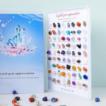 Runyangshi 72pcs Natural Rock and Geology Mineral Education Set for Studying Geology and Earth Science Ldentification Kit Learning Gifts with Instructions