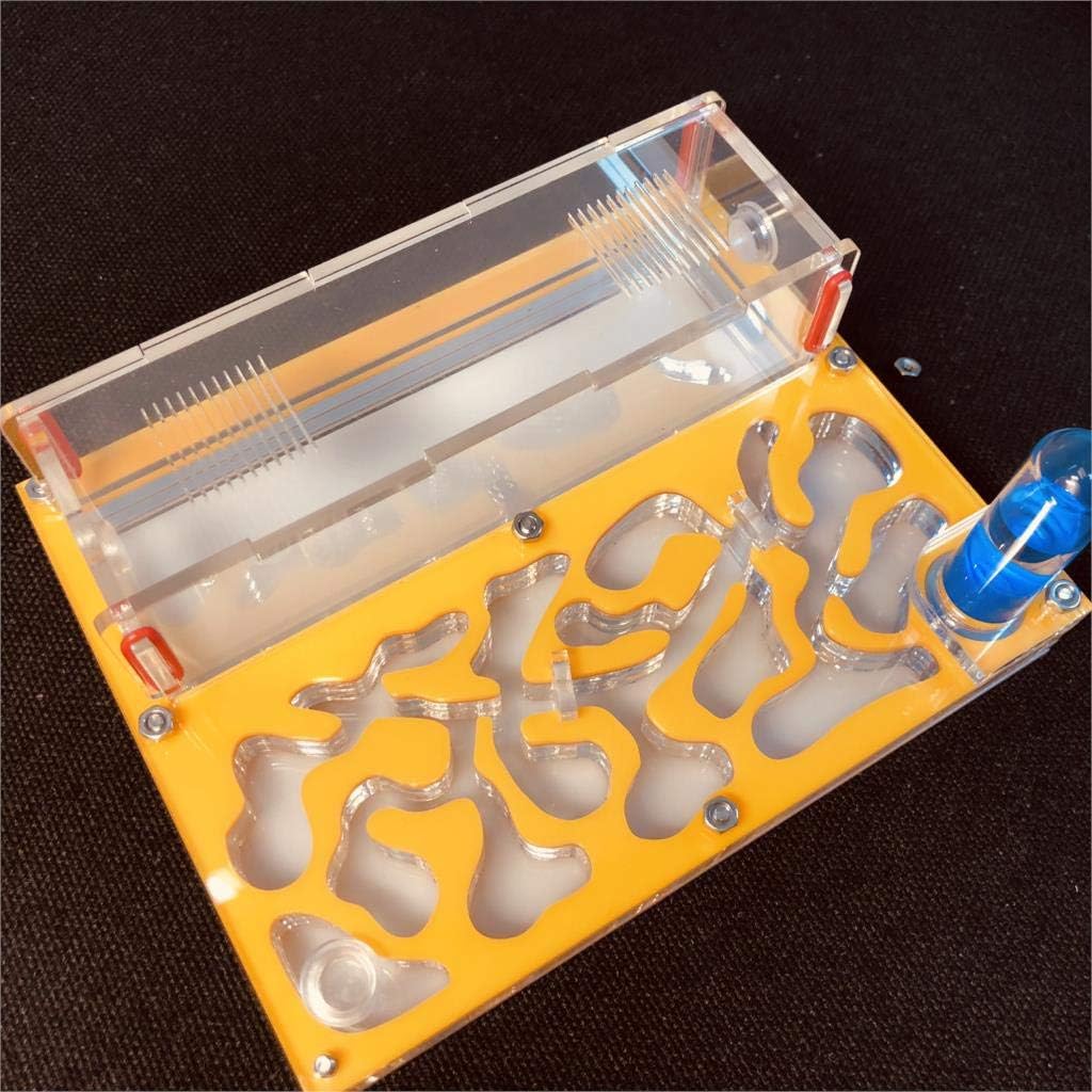 ANT 150mmx110mm Test Tube Moisture Big Space Nest Farm Acrylic, Insect Villa House Ecological Workshop (Pink)