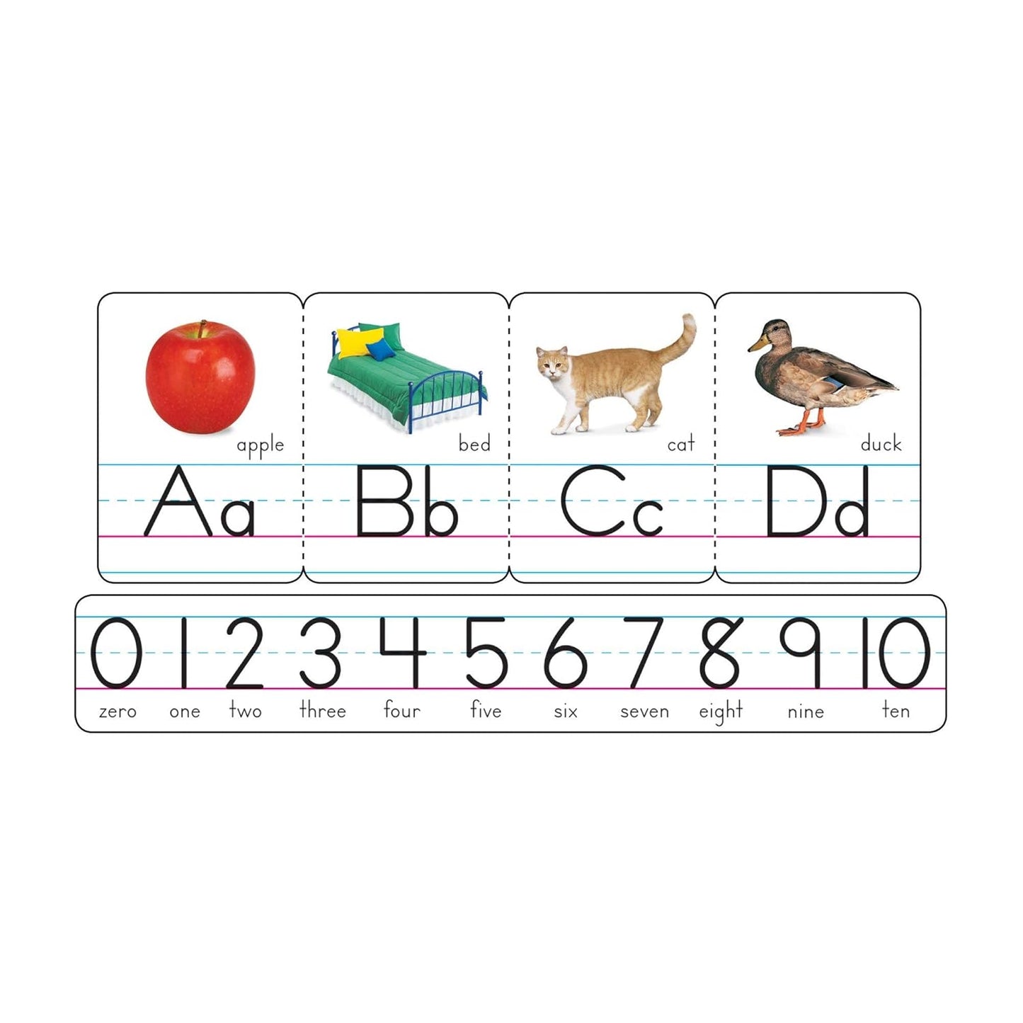 Trend Photo Alphabet Cards Zaner-Bloser Manuscript Bulletin Board Set, ABC Number Line, Classroom Decor