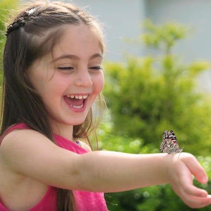Insect Lore Butterfly Garden Birthday Kit - Includes Birthday Card for Recipient - STEM Gift for Kids - Raise and Release Live Caterpillars