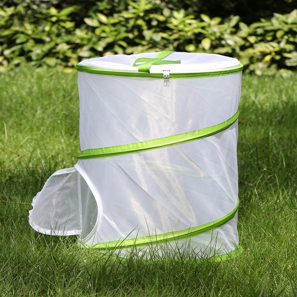 Insect and Butterfly Habitat Cage Terrarium Pop-up 12" x 14" Tall