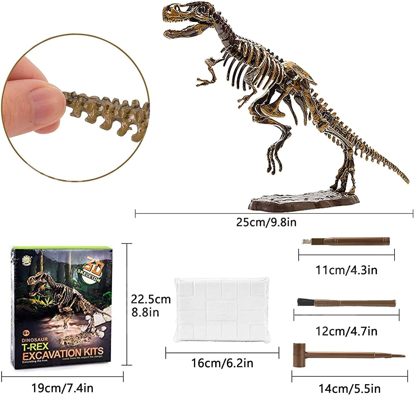 Dig & Discover Dino Tyrannosaurus Rex Dinosaur Skeleton 3D Fossil Bones Excavation, Science Educational Toy Kit for Kids, Children