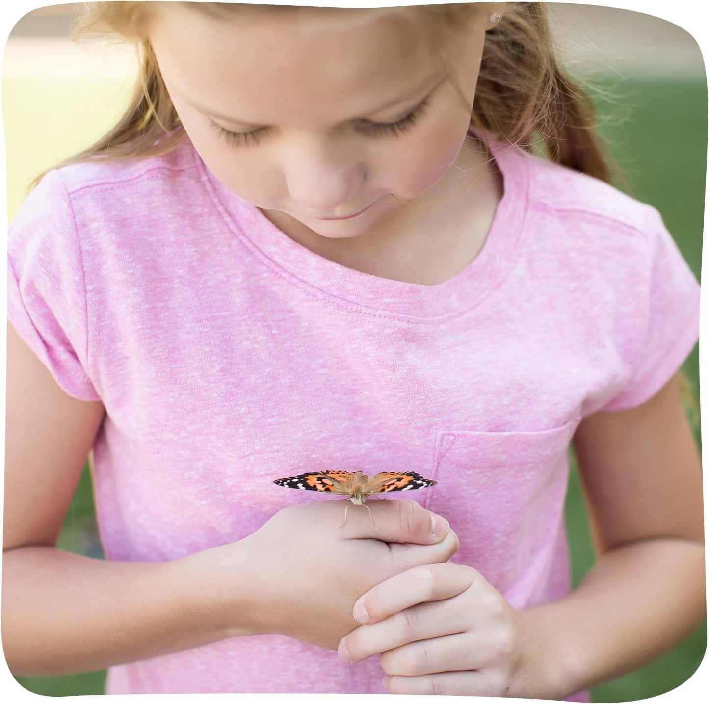 Insect Lore Butterfly Garden - 8" Habitat with 5 Live Baby Caterpillars - Includes Life Cycle Figurines, Stickers, Wind up, Mini Habitat | Birthday or Teacher Gift Set
