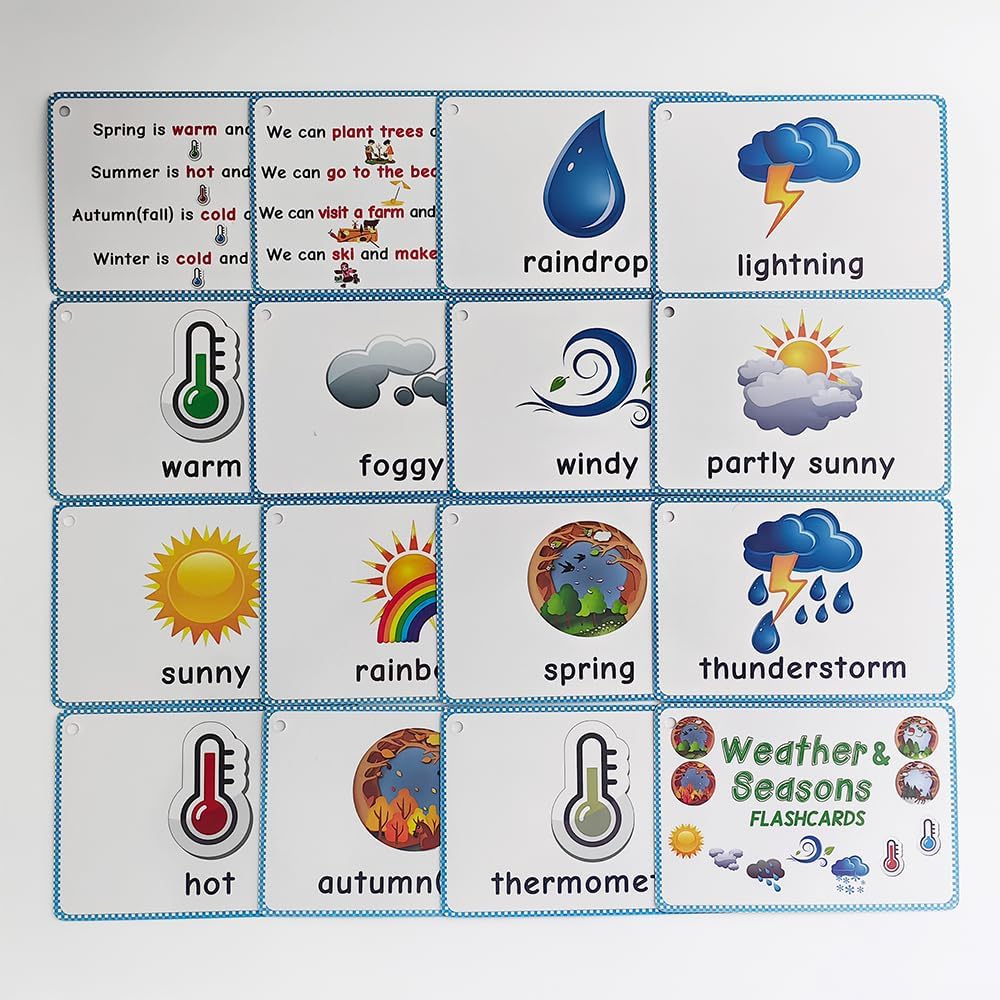 Lilias Irregular Past Tense Verbs English Grammar Double-Side Learning Flash Cards - 24 Card Set for Homeschool, Preschool, Primary School, ESL, Autism, Vocabulary Building