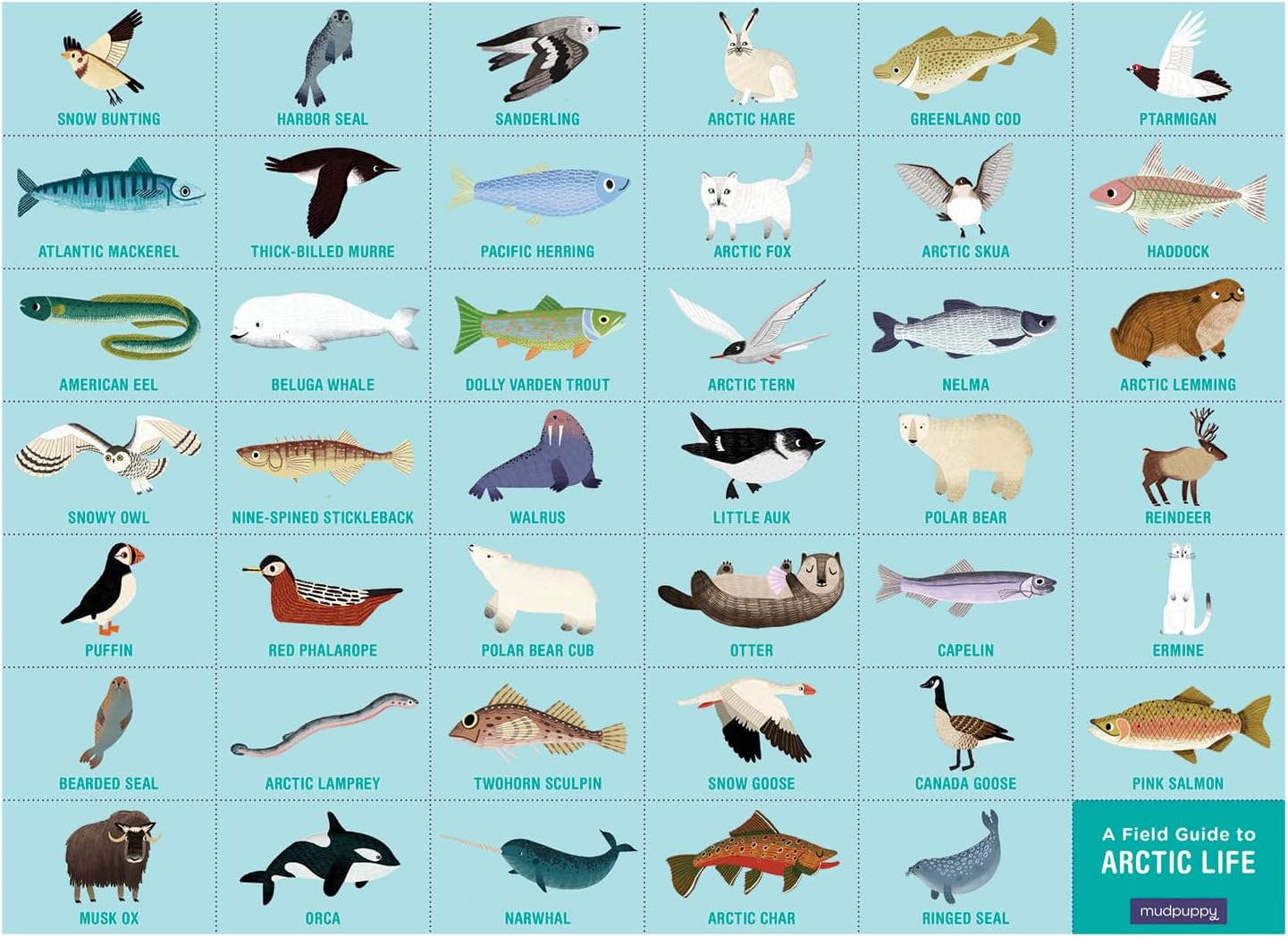 Mudpuppy Arctic Life Search & Find Puzzle, 64 Pieces, 23”x15.5” – For Kids Age 4-7 - Colorful Illustrations of Animals, Fish, Birds Living in the Arctic – Complete Puzzle to Find 40+ Hidden Images