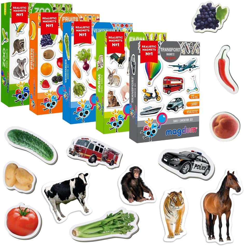 25 Fridge Magnets for Toddlers - Birds Photo Kids Magnets for Refrigerator – Real Magnetic Animals for Children – Big Realistic Magnet for Kids - Learning Toy Set - Baby Educational Gift