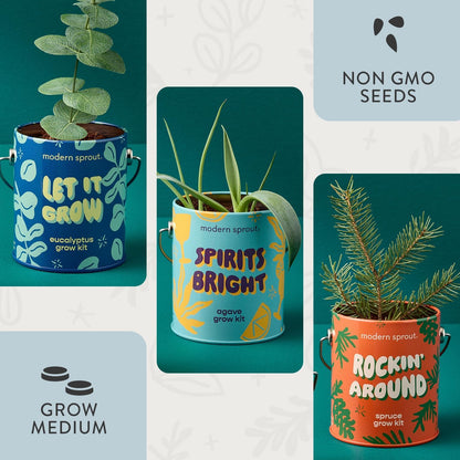 Modern Sprout Complimentary Color Grow Kits (Pack of 4) - Gift for Plant Lovers - Seed Starter Kit - Includes Organic Strawberry Tomato Sunflower & Cactus Seeds - Gardening Gifts that Grows with Love