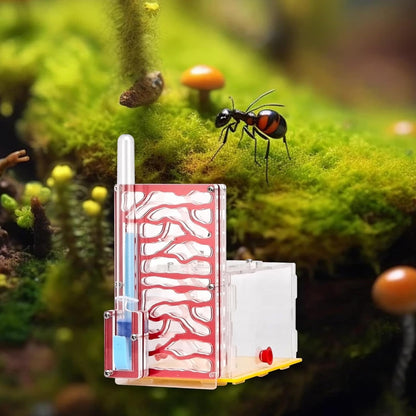 ANT Housing Nest Habitat Transparent Acrylic with Feeder ANT Farm Display Box for Gift Lovers Birthday Decor Children's Day- Yellow