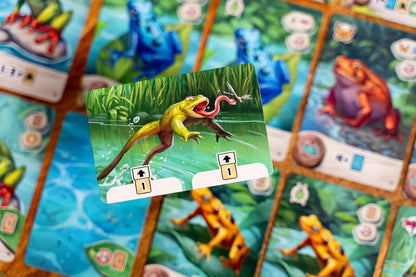 Pondscape, Cozy Family Strategy Card Game for Kids and Adults – for 1–4 Players, Ages 8+ – Family Games Night Essential