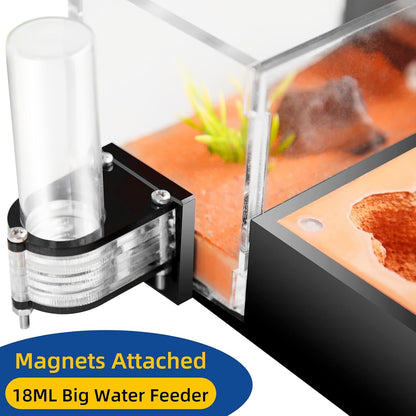 Ant Nest Formicarium for Live Ants and Queen – Extra-Large Clear Habitat for Adults