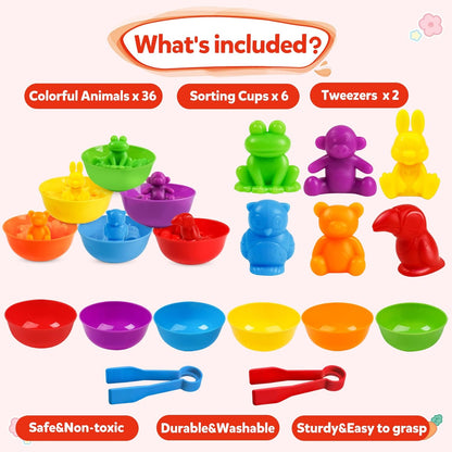RAEQKS Counting Sorting Toys Matching Stacking Toys with Bowls Preschool Learning Activities Educational Sensory Game Montessori STEM Toy Daycare Sets Animals Gifts for Toddlers Kids Boys Girls