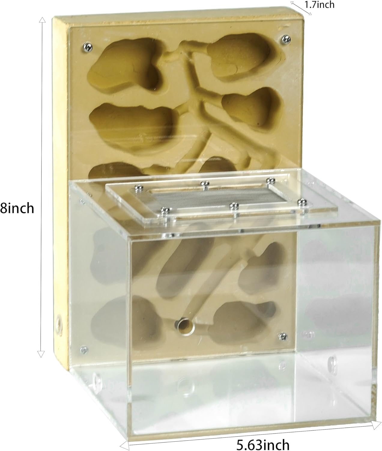 Ant Farm for Live Ants - Large Viewing Area - Natural Learning