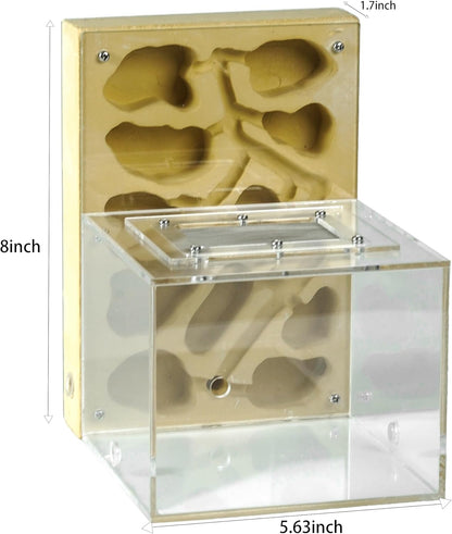 Ant Farm for Live Ants - Large Viewing Area - Natural Learning