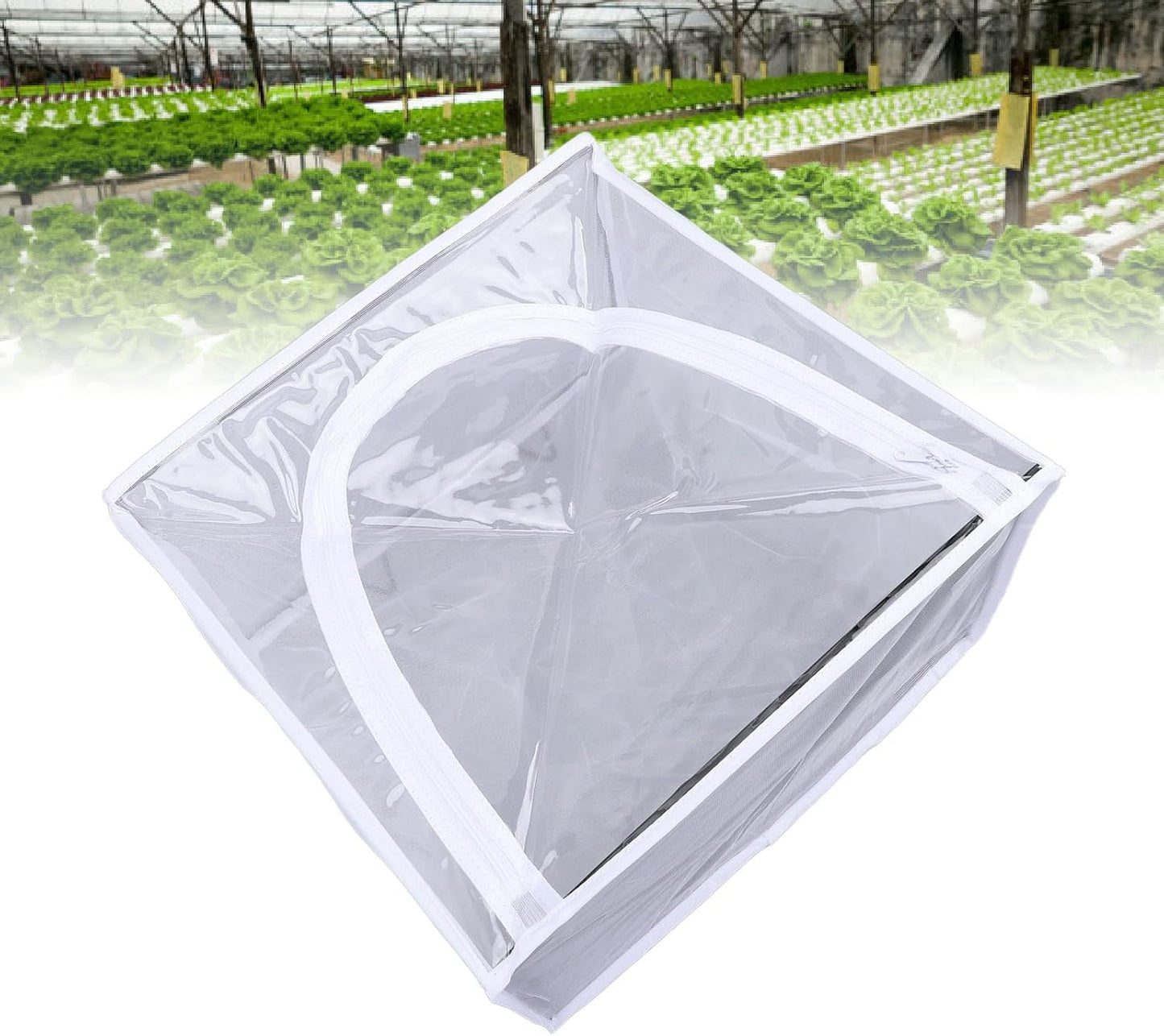Butterflies Mesh Cage, Wall Mounted Cage for Hanging Butterflies, Small Enclosure with Adhesive Plate, Transparent Design for Observing Growing Process