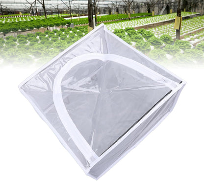 Butterflies Mesh Cage, Wall Mounted Cage for Hanging Butterflies, Small Enclosure with Adhesive Plate, Transparent Design for Observing Growing Process