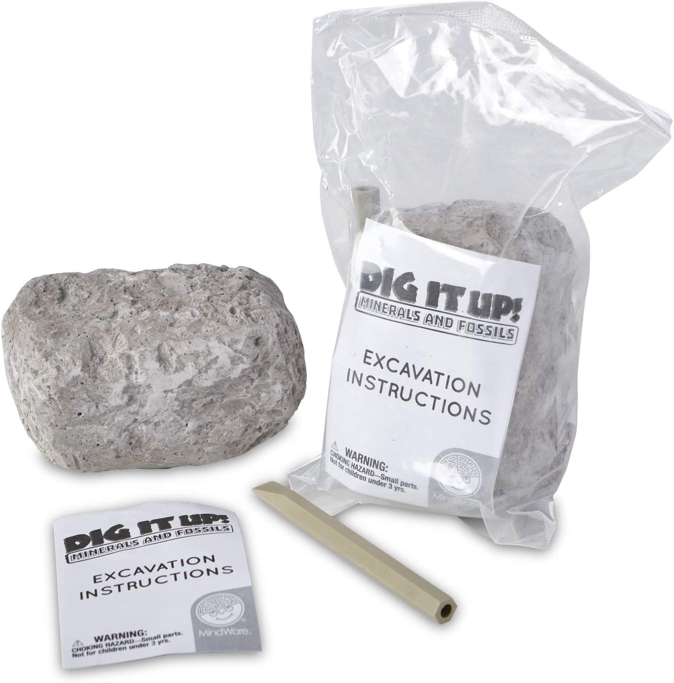 Dig It Up! Fossils & Minerals