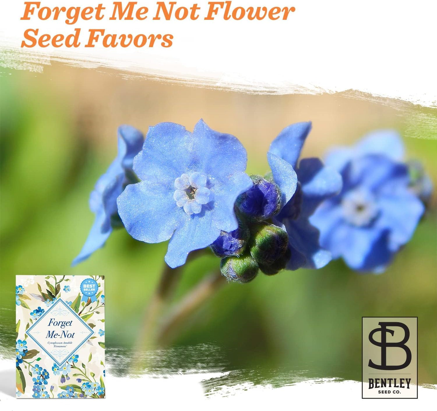 Grateful Memories Dove with Bird and Butterfly Mix Seed Favor Packets - Gardening Gifts - Wild Flower Seeds for Planting - Garden or Indoor Plant Flowers - Growing Plants in Memory