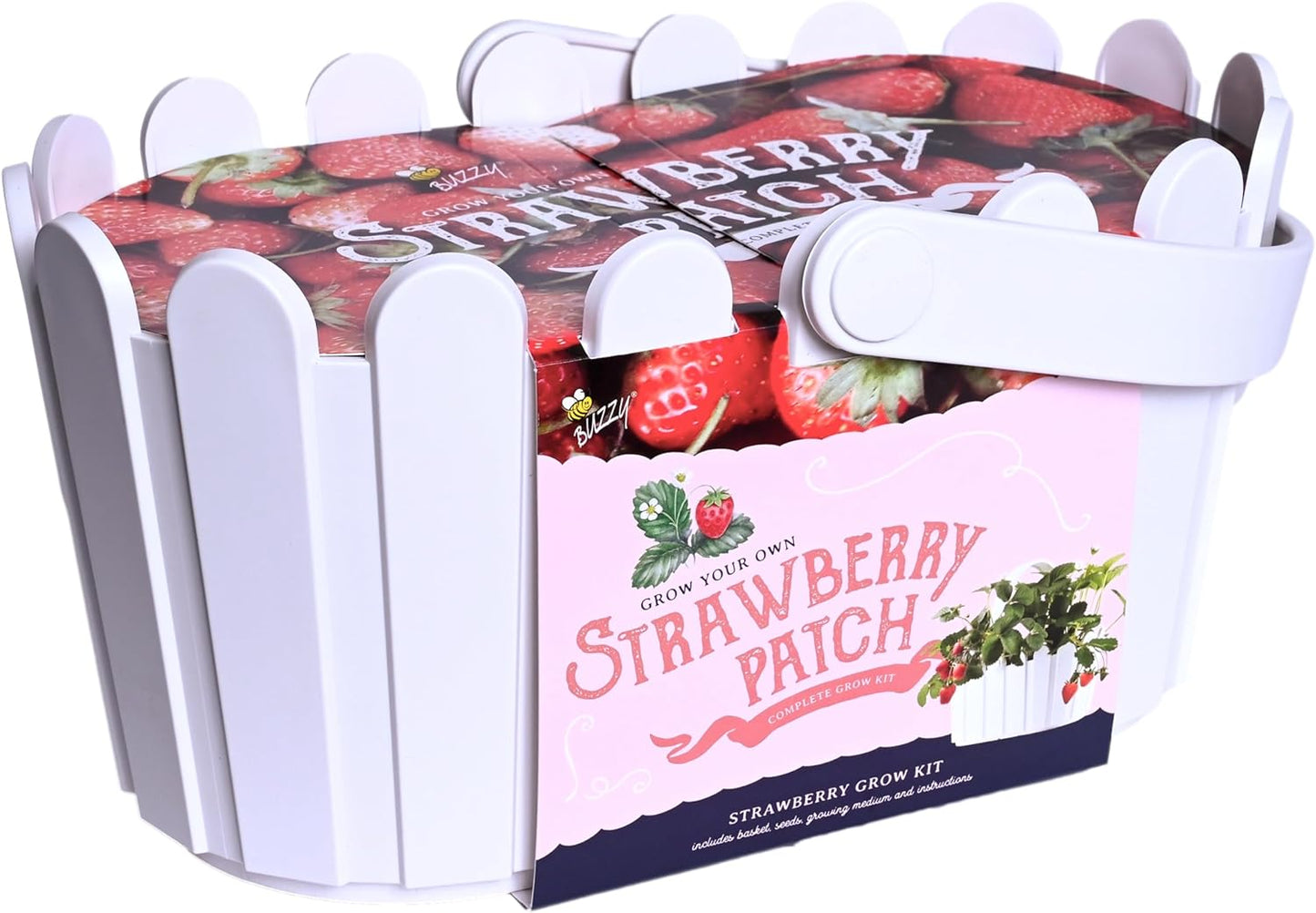 Buzzy Seeds Strawberry Grow Kit Pink Picket Fence Berry Basket with Grandian Seeds, Indoor Planting Starter Kit, DIY Garden Project, Gardening Gift for Women