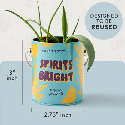 Modern Sprout Complimentary Color Grow Kits (Pack of 4) - Gift for Plant Lovers - Seed Starter Kit - Includes Organic Strawberry Tomato Sunflower & Cactus Seeds - Gardening Gifts that Grows with Love