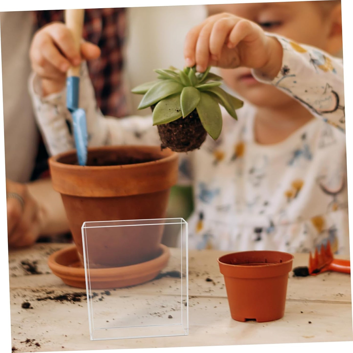 VICASKY Boy Girl Gardening Mini Greenhouse Root Viewer Educational Starter Trays for Indoor Plant Growth and Science Exploration Transparent Design for Young Learners