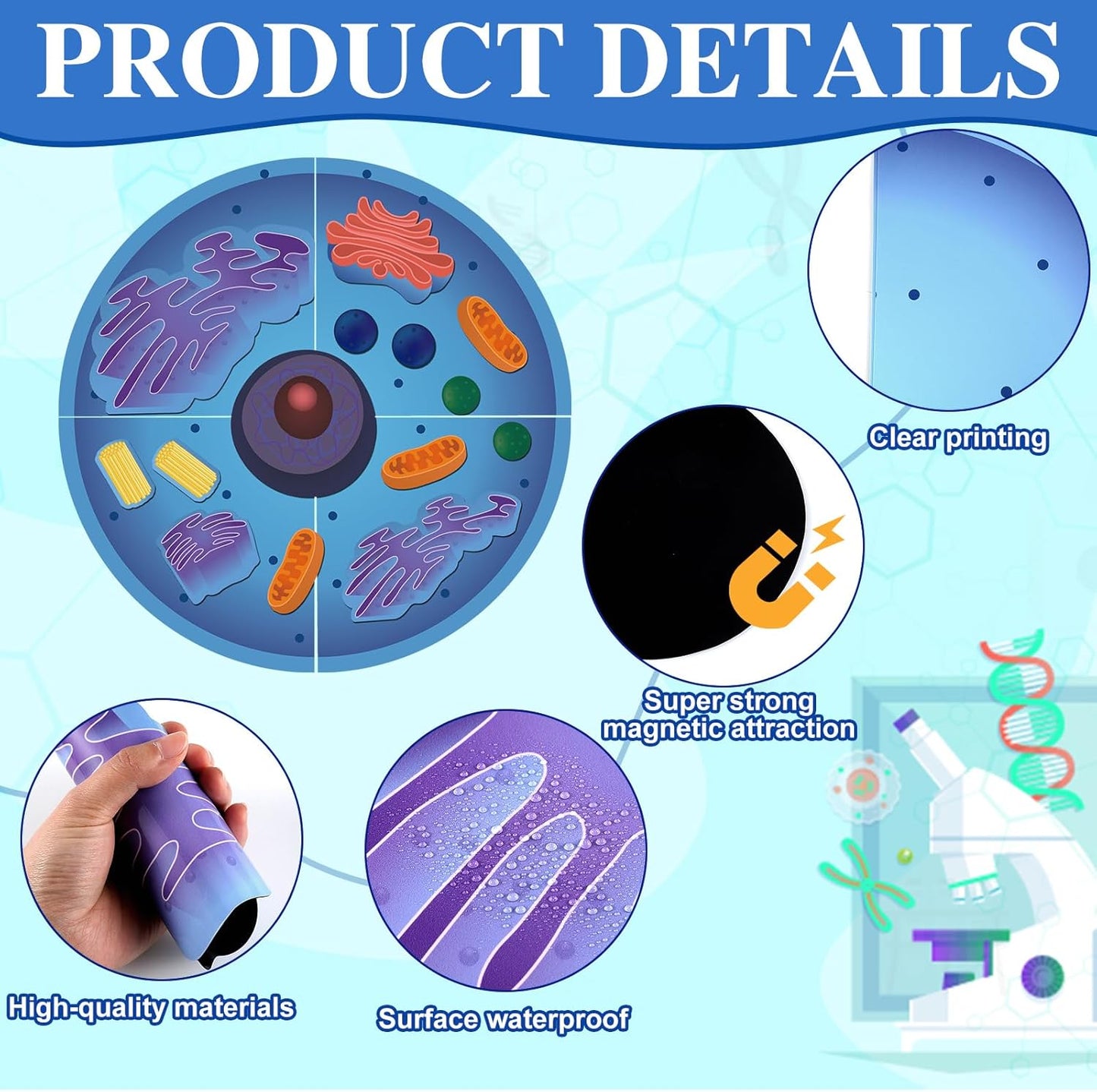Leitee 18 Pcs Magnetic Plant Cell Model Kits Giant Teaching Resources Early Biology Cell Anatomy Model Life Science Teaching Aid for Whiteboard Learning Tools Educational Classroom Activities