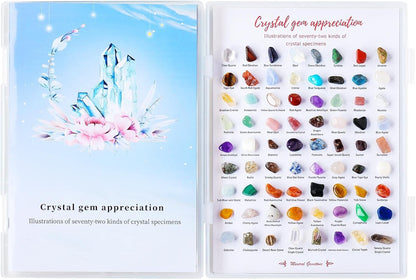 Runyangshi 72pcs Natural Rock and Geology Mineral Education Set for Studying Geology and Earth Science Ldentification Kit Learning Gifts with Instructions