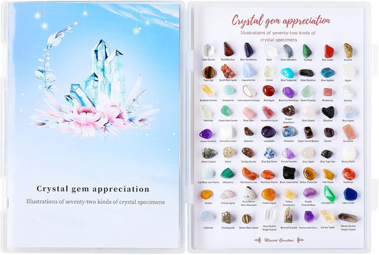Runyangshi 72pcs Natural Rock and Geology Mineral Education Set for Studying Geology and Earth Science Ldentification Kit Learning Gifts with Instructions