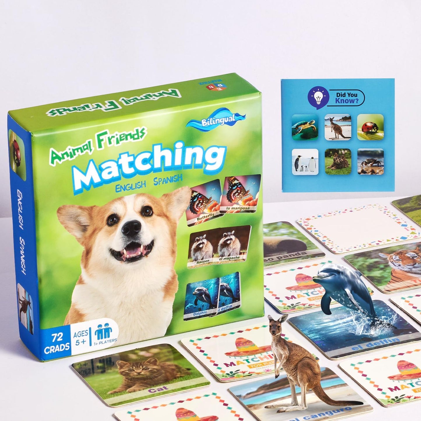 72 (36 Pairs) Bible Trivia Memory Matching Game with Poster and Online Trivia Language Learning Games for ESL and Language Immersion