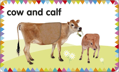My First Touch and Feel Picture Cards: Farm (My First Board Books)