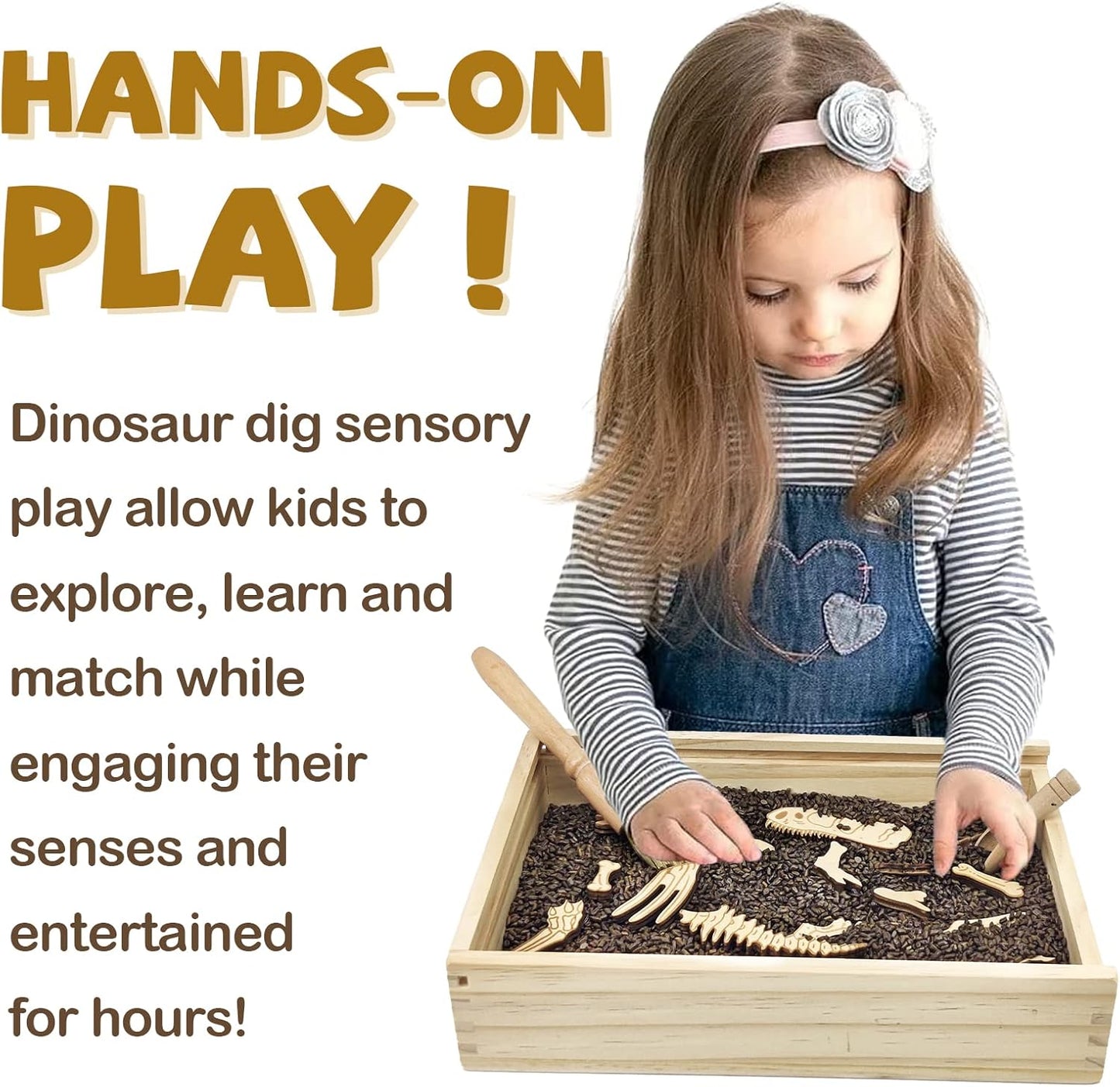 Dinosaur Excavation Archaeology Dig Kit for Kids, Fossil Explore Sensory Bin Toys, Dino Skeletons Bones Puzzle Game, Archaeology Science STEM Toys for Boys and Girls (Stegosaurus)