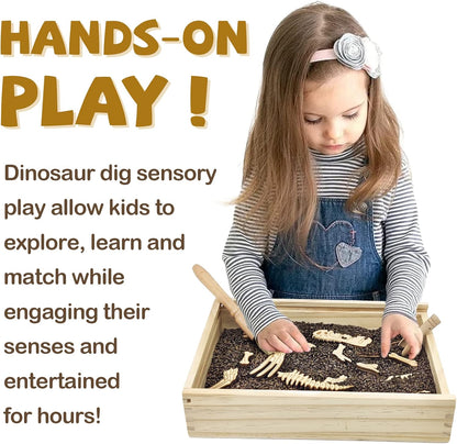 Dinosaur Excavation Archaeology Dig Kit for Kids, Fossil Explore Sensory Bin Toys, Dino Skeletons Bones Puzzle Game, Archaeology Science STEM Toys for Boys and Girls (Stegosaurus)